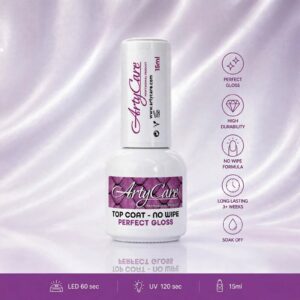 Top Non Wipe Perfect Gloss 15ml